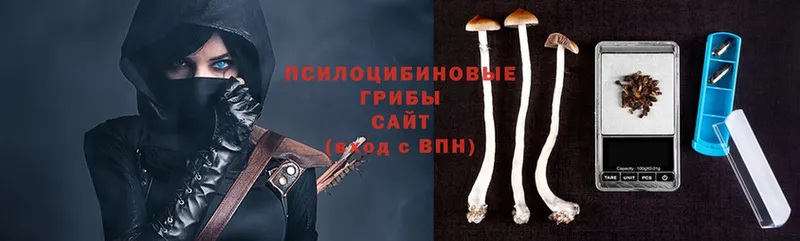 Псилоцибиновые грибы Psilocybe  Орёл 